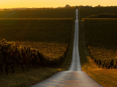 O Poder de se Frustrar: Por Que Evitar a Frustração Pode Estar Te Adoecendo